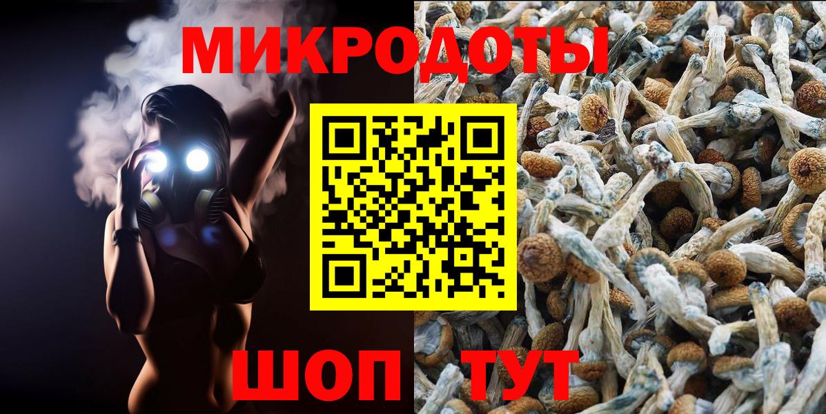 Псилоцибиновые грибы GOLDEN TEACHER Избербаш