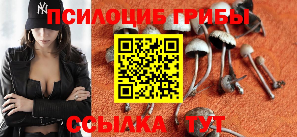 где продают   Вход с VPN  Избербаш  Галлюциногенные грибы MAGIC MUSHROOMS 